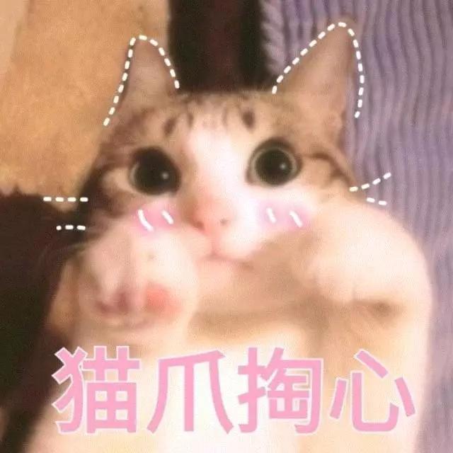 撩小男生的表情包,害羞小哥哥表情包