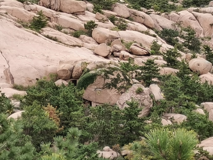 青岛胡三太爷在哪里,东北供奉胡三太爷