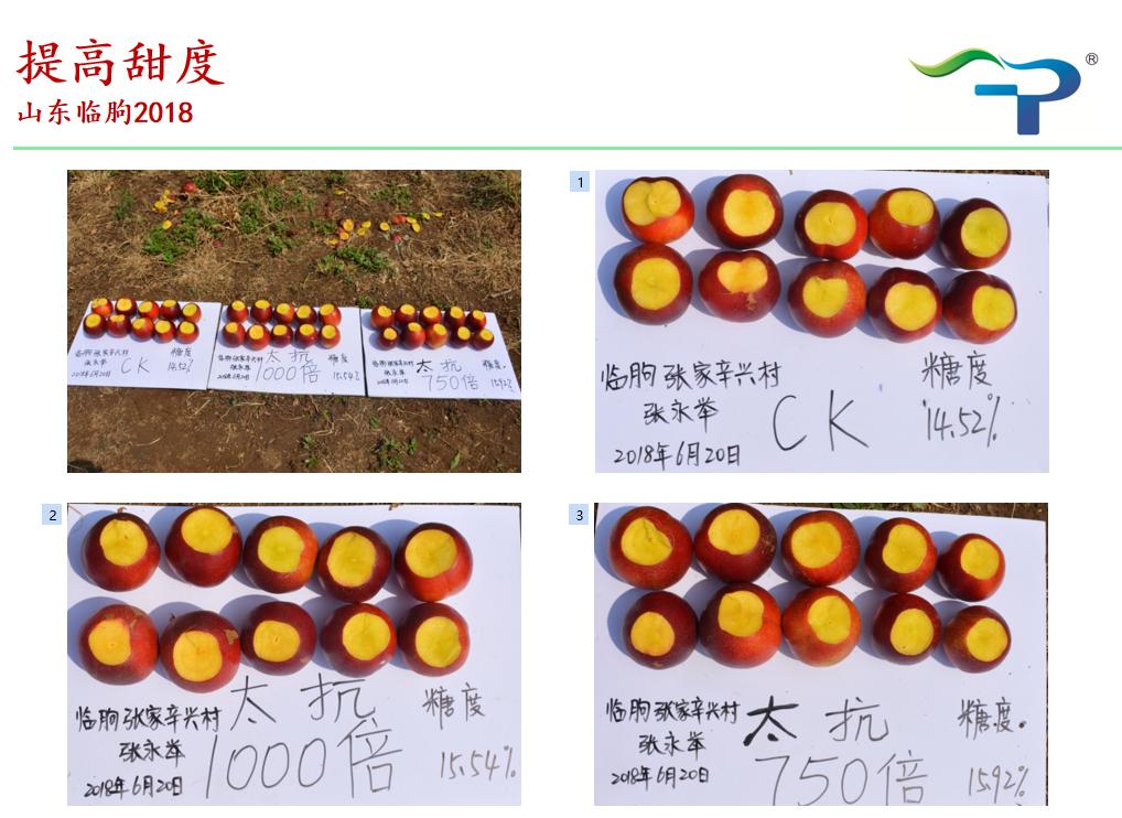 几丁聚糖农药作用机理,几丁聚糖在植物中的作用