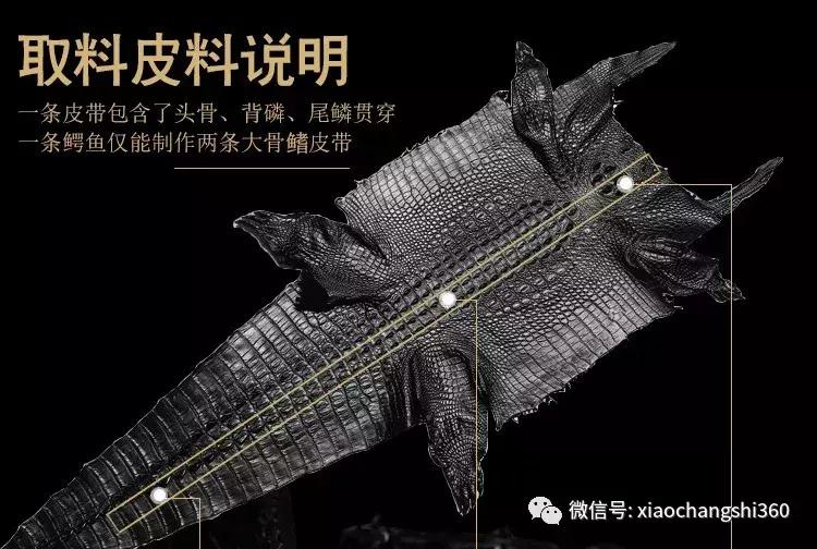 鳄鱼皮手工定制皮带,鳄鱼皮皮带量身定制