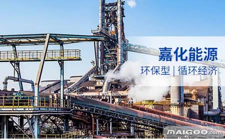 嘉化能源股价每股收益,嘉化能源一年收入