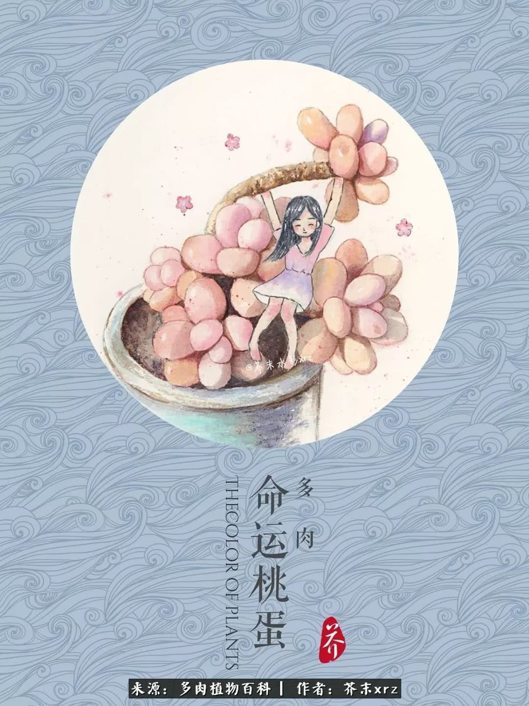 那个爱画多肉的小姑娘带着她的心头肉又来啦！