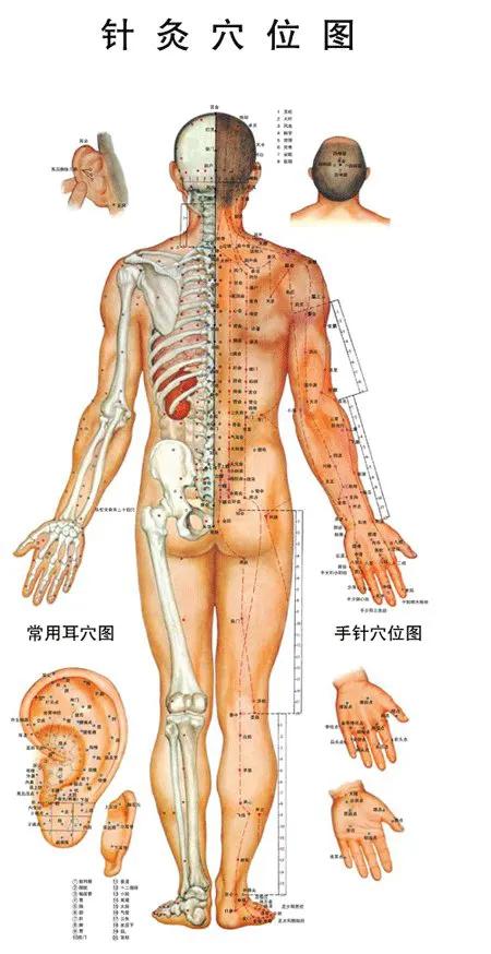 腰椎间盘突出的针灸治疗视频,腰椎间盘突出针灸的弊端