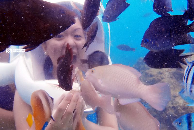 长滩岛海底世界,长滩岛海底漫步在哪里