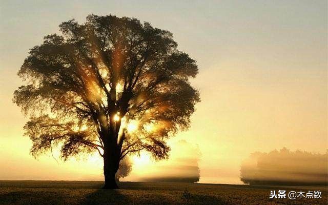 世态炎凉人心难测的经典句子,世态炎凉最冷不过人心的句子