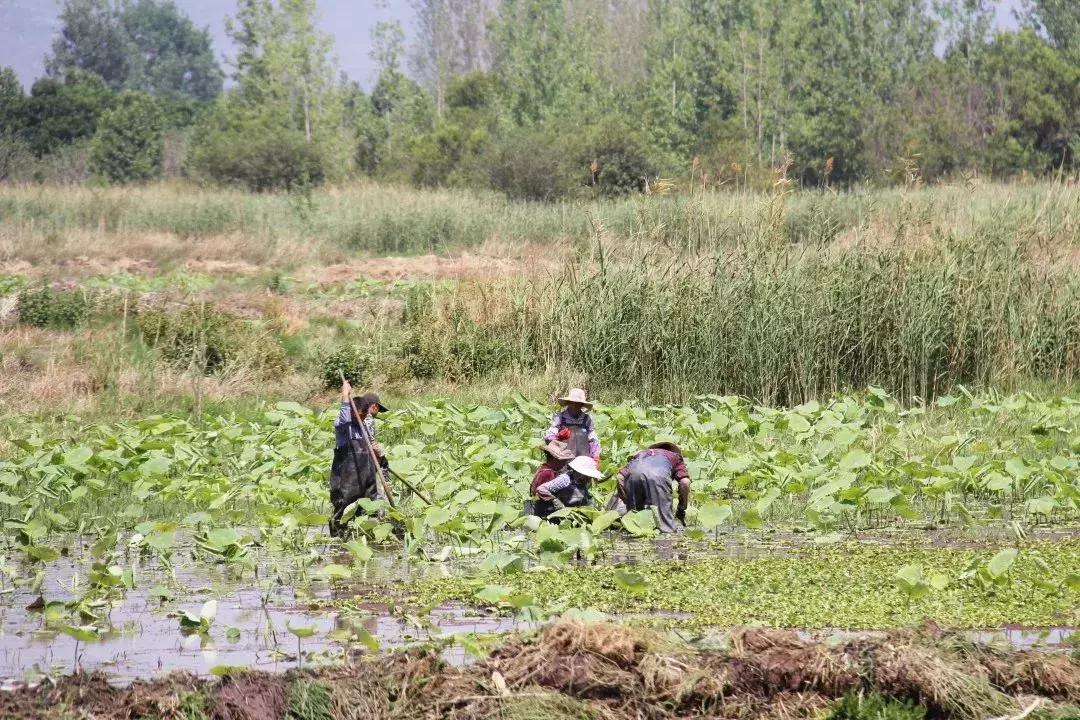 閭涘窞鏃呮父鏀荤暐,閭涙捣椋庢櫙鍖烘梾娓告敾鐣ヤ竴鏃ユ父
