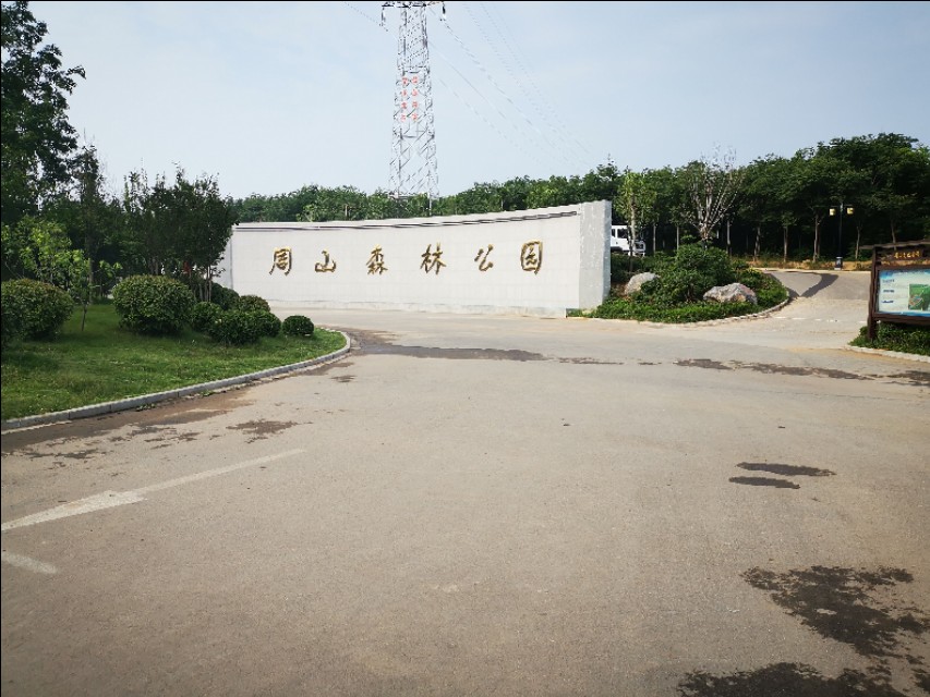 周山森林体育公园,周山公园都有什么运动