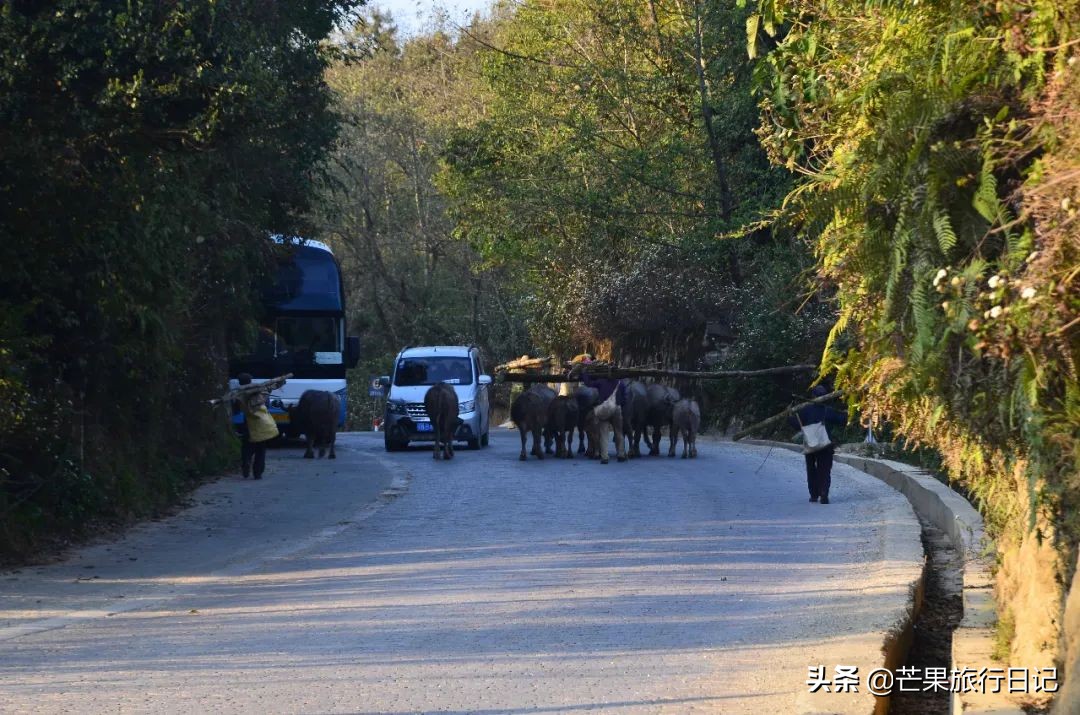 元阳梯田怎么去西双版纳,元阳哪个梯田最值得去