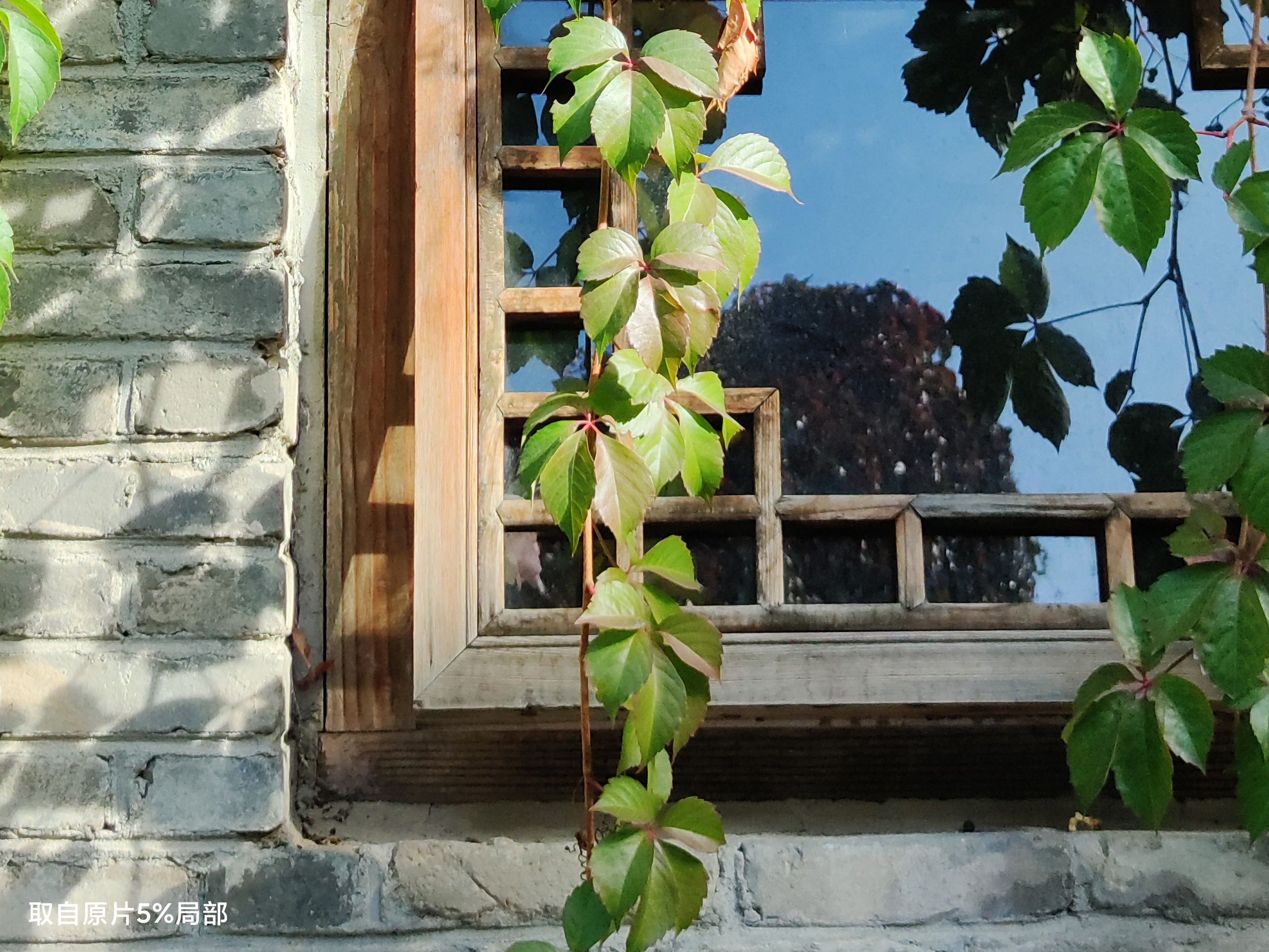 你进来，我给你好好讲讲1亿像素