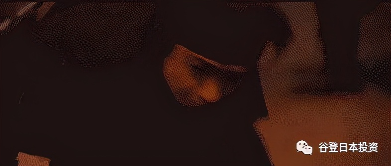 「谷登知识星球」是飞檐走壁刷刷刷丢飞镖的Ninjia