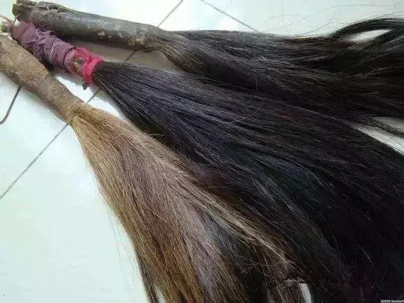 即将消失的东西你认识几个,即将消失的老物