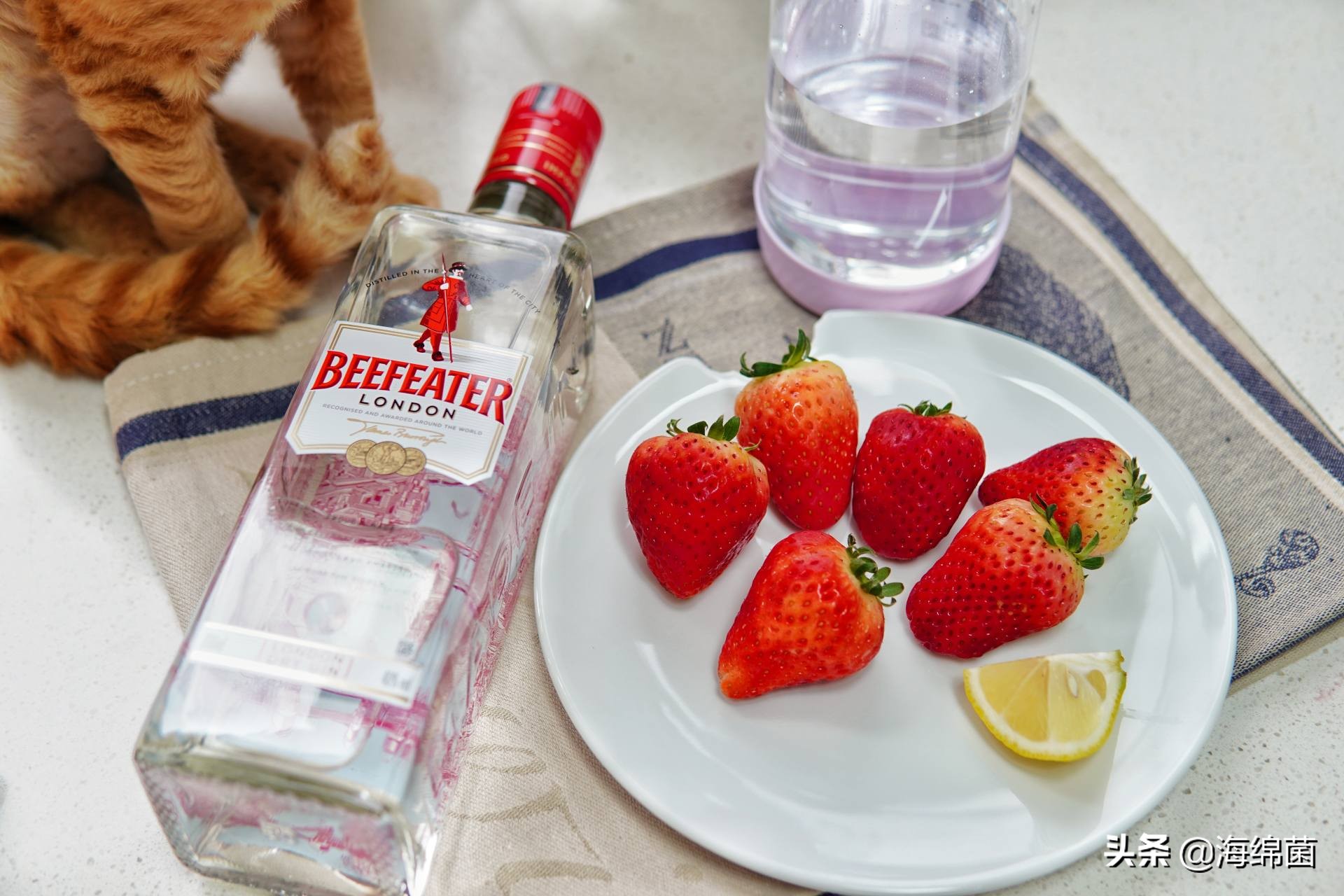 教你做一杯超好喝的夏日饮料,简单自制气泡水饮料