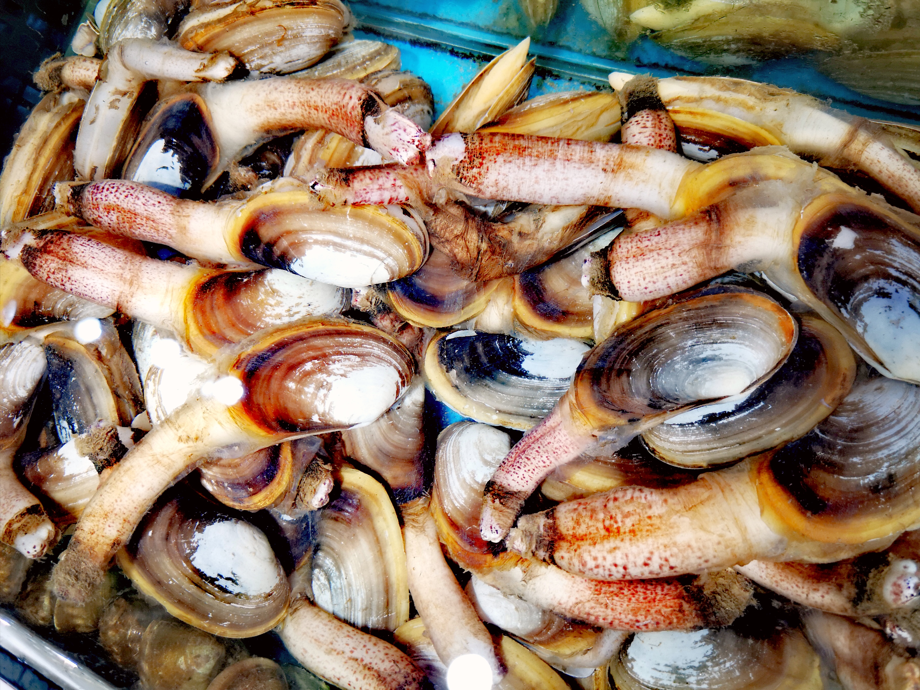 雨天东兴万尾金滩游,冬季东兴万尾金滩