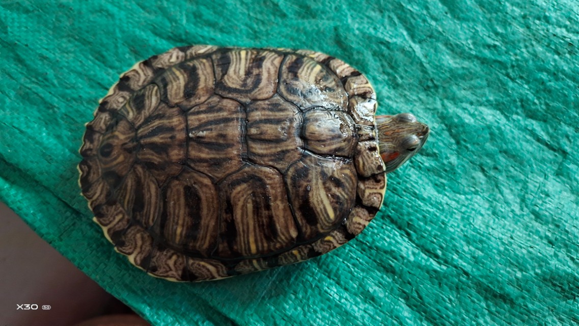 冬天钓鱼闹窝怎么解决,钓鱼躲避闹窝技巧