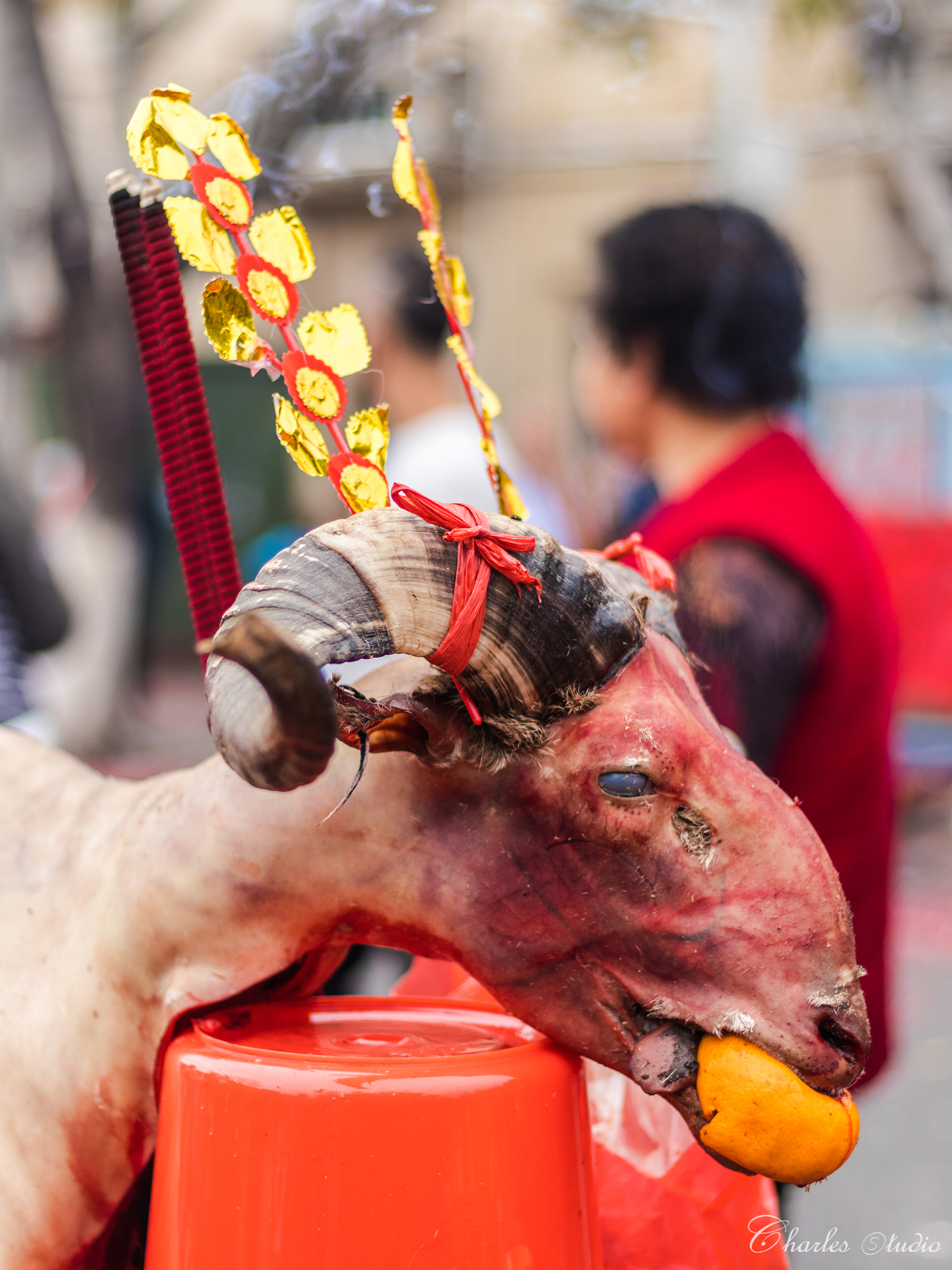 陈嘉庚故里集美大社,陈嘉庚回到家乡