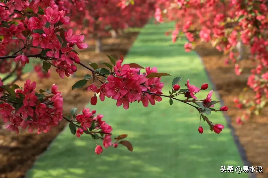 岁月安好，时光静好！愿在易县，与你共赴终老！