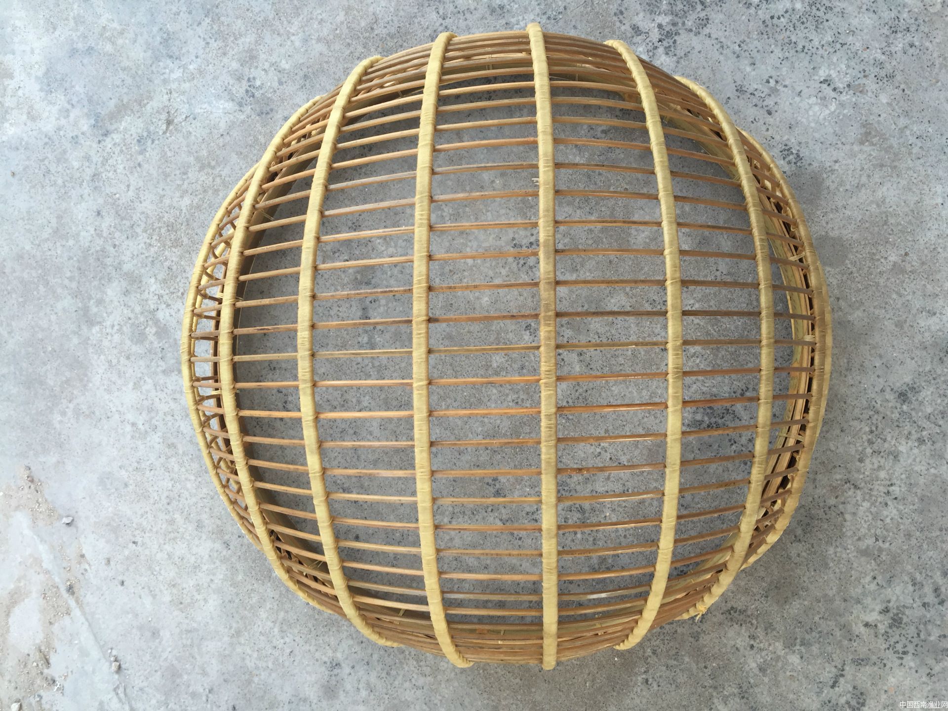 涨知识：鱼类不同的生长阶段，有不同的称呼