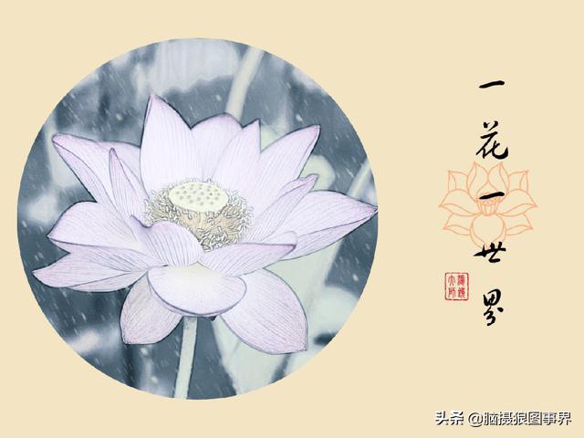 2023专业摄影修图软件,手机摄影后期修图app