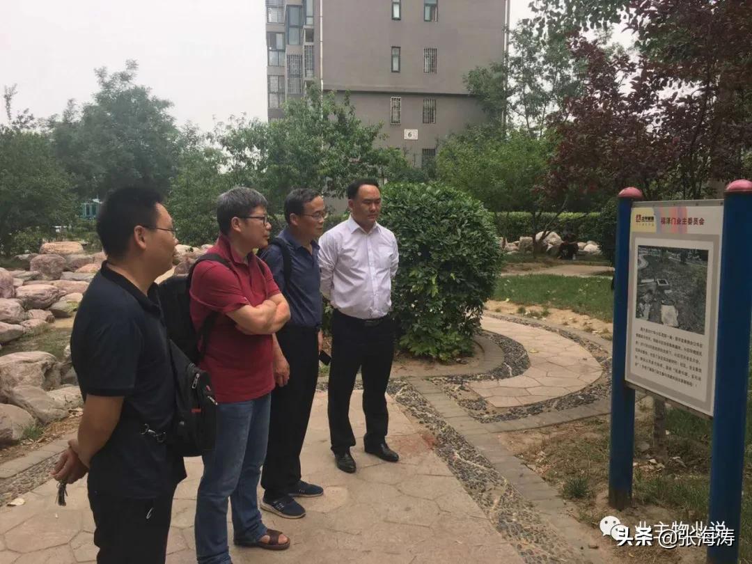 赞!旧貌换新颜,只因小区有了业主大会