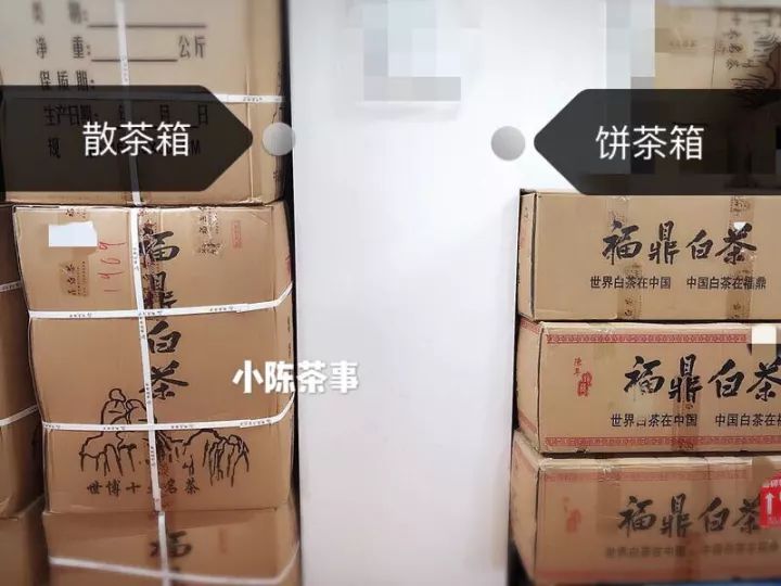 白茶怕水淹吗,白茶怕寒吗白茶怕高温吗