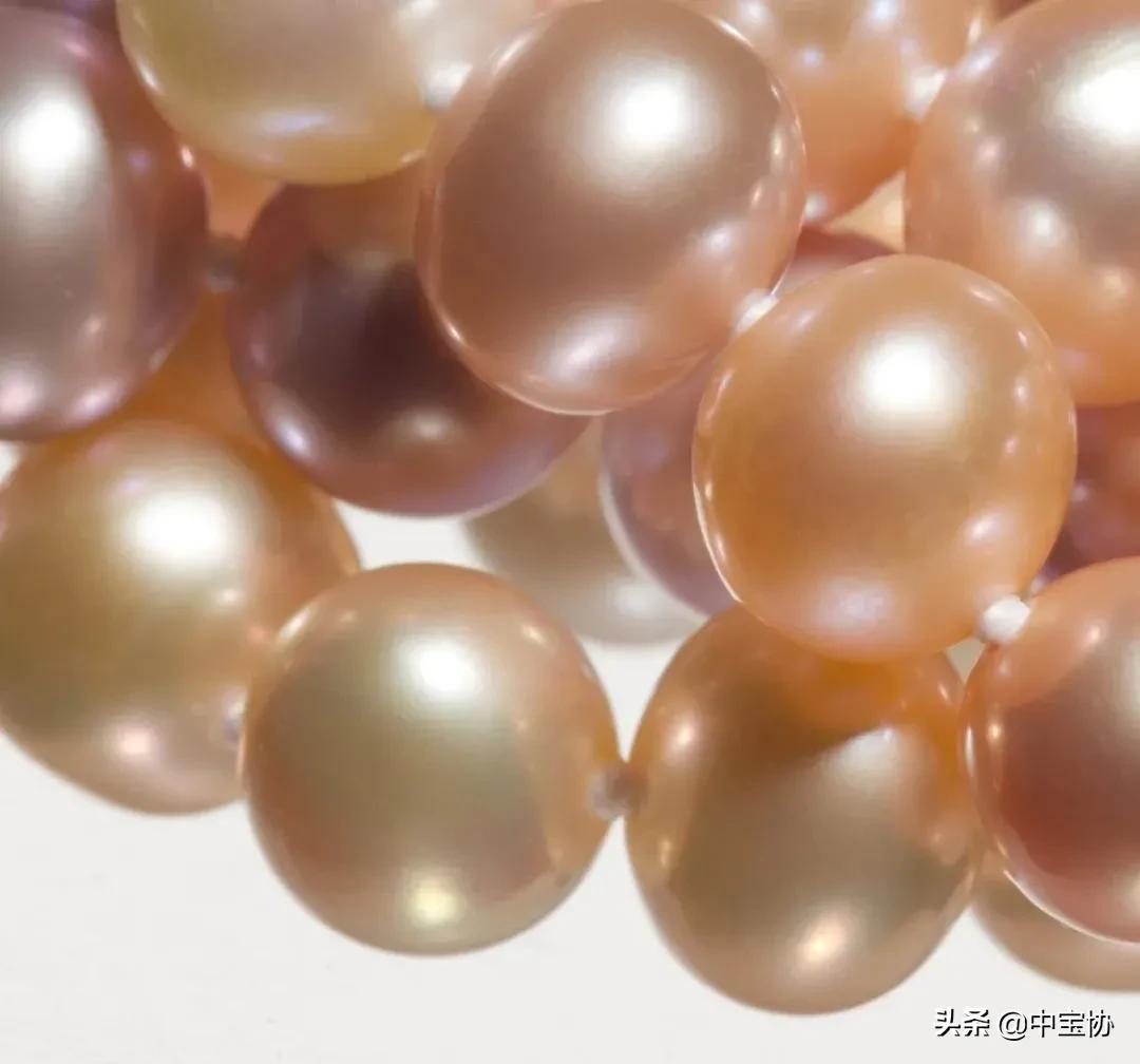 挑选珍珠饰品的小技巧是什么,挑选珍珠蚌秘籍