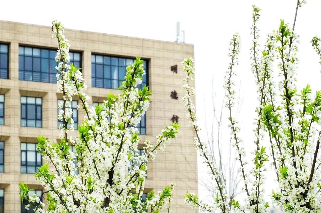 中国民航大学地位,中国民航大学很牛吗现在还有吗