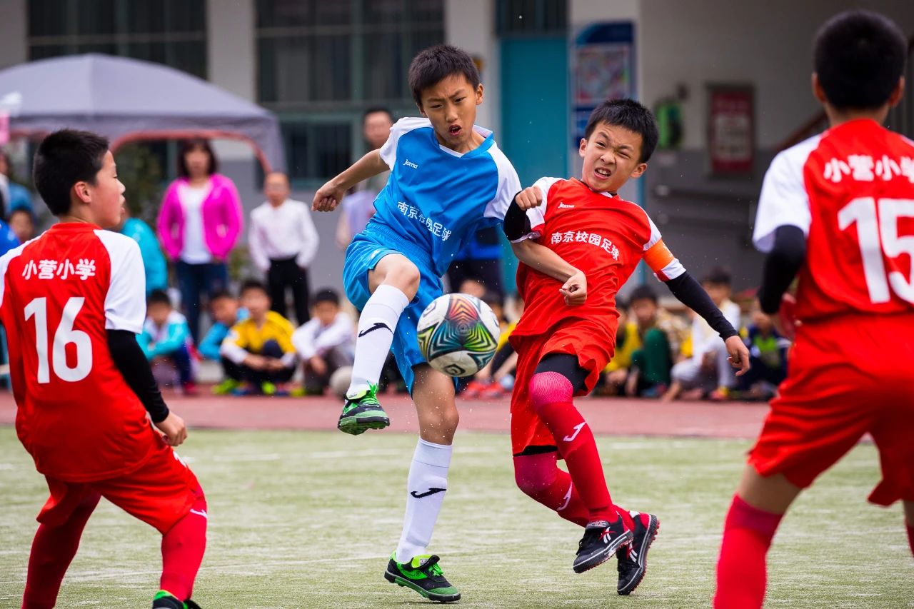 南京十所顶尖名校,南京这所新校为何底气十足