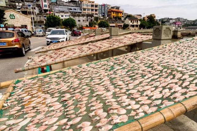 浙江宁波小众景点,浙江省宁波市黄金海岸