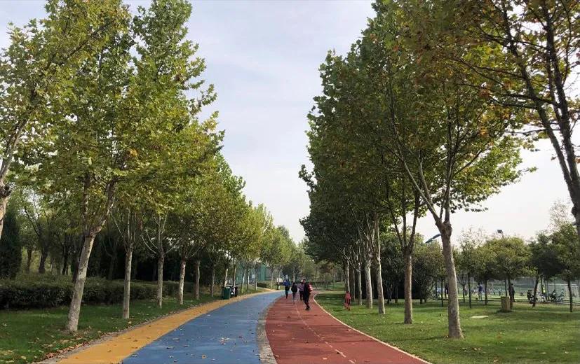 独一无二的足球主题公园,足球主题公园