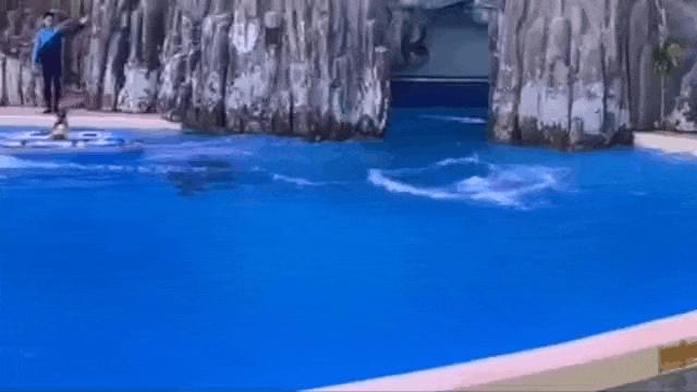 来一场说走就走的旅行珠海长隆,广东长隆及珠海长隆旅游攻略