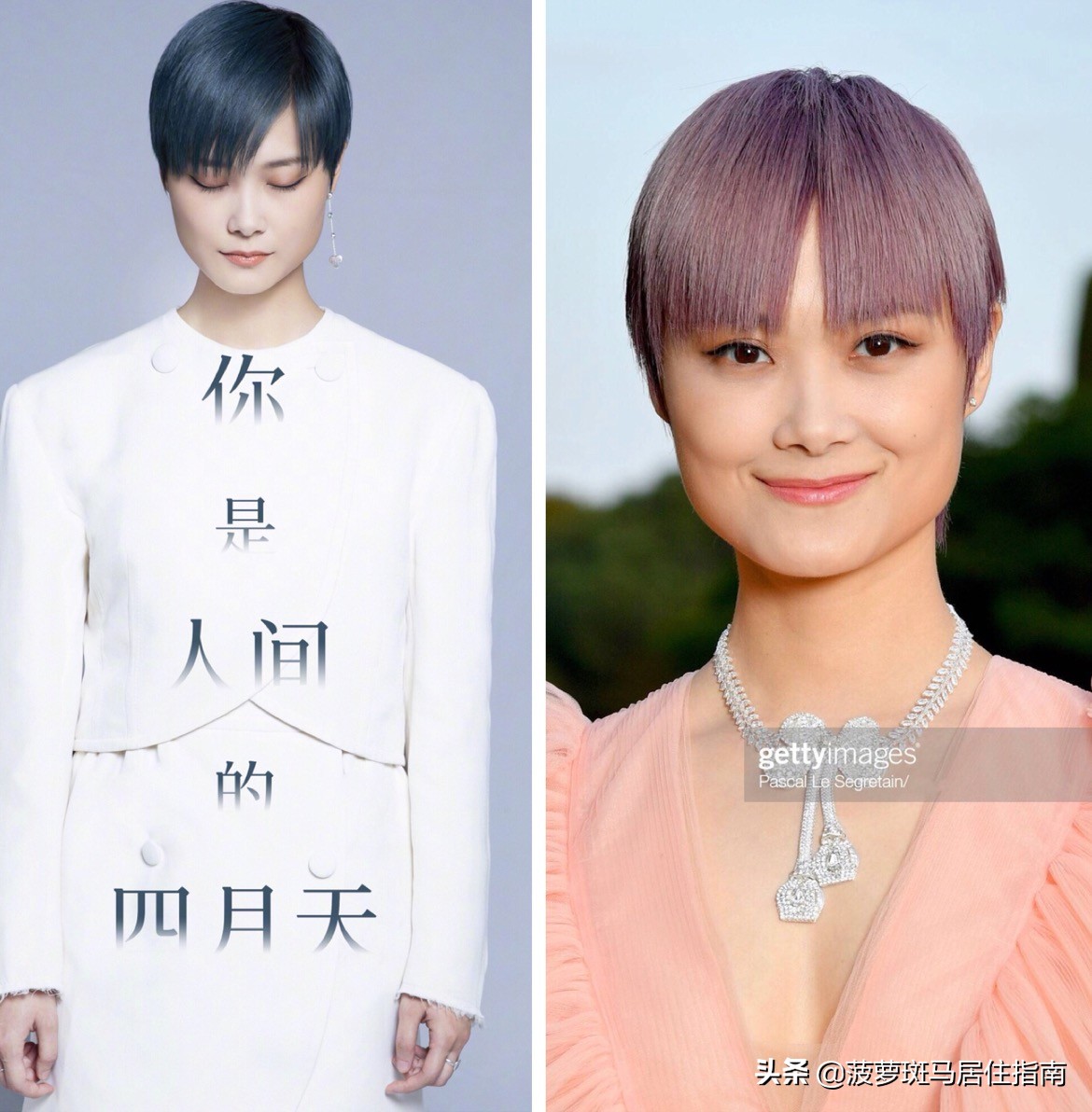 女明星染发为啥看不出褪色,为什么明星染发没多久就褪色了