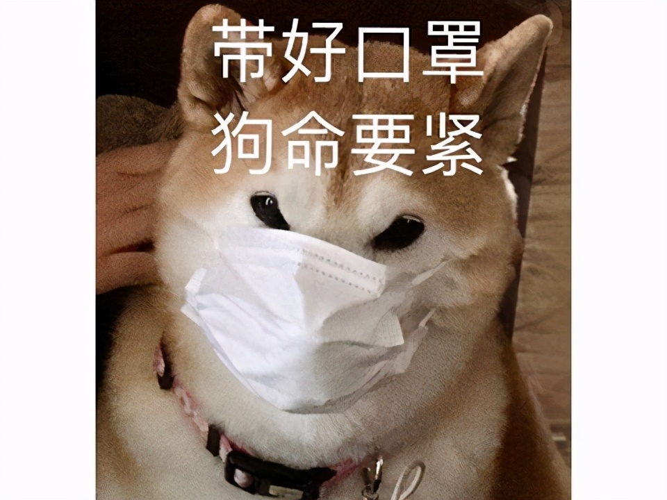 2019年腾讯游戏最赚钱游戏排名,腾讯最近10年赚钱的游戏排行