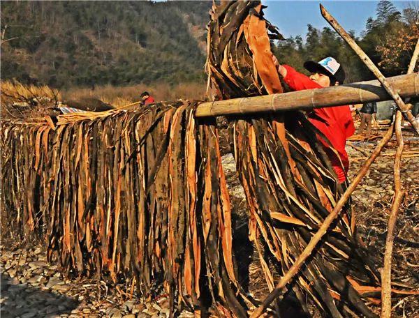 各种好的宣纸,什么样的宣纸好用