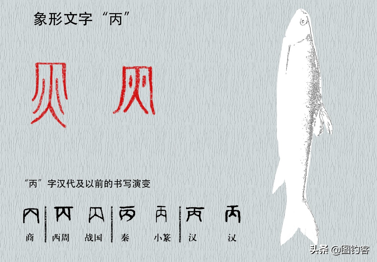 雅鱼是雅安特有的吗,雅鱼四川雅安市国家地理标志产品