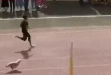 前方高能搞笑版,前方高能爆笑