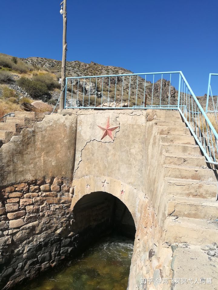 哈密戈壁之花图片,戈壁之花