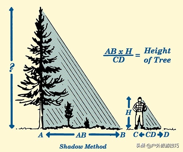 不用尺子怎么快速测量物体高度,不借尺子如何测量物品尺寸