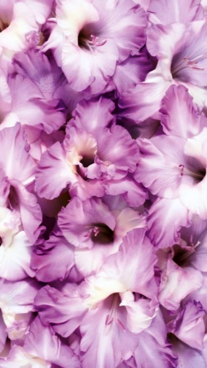 12月20日早安正能量阳光的说说,阳光心态正能量短句子很燃很励志