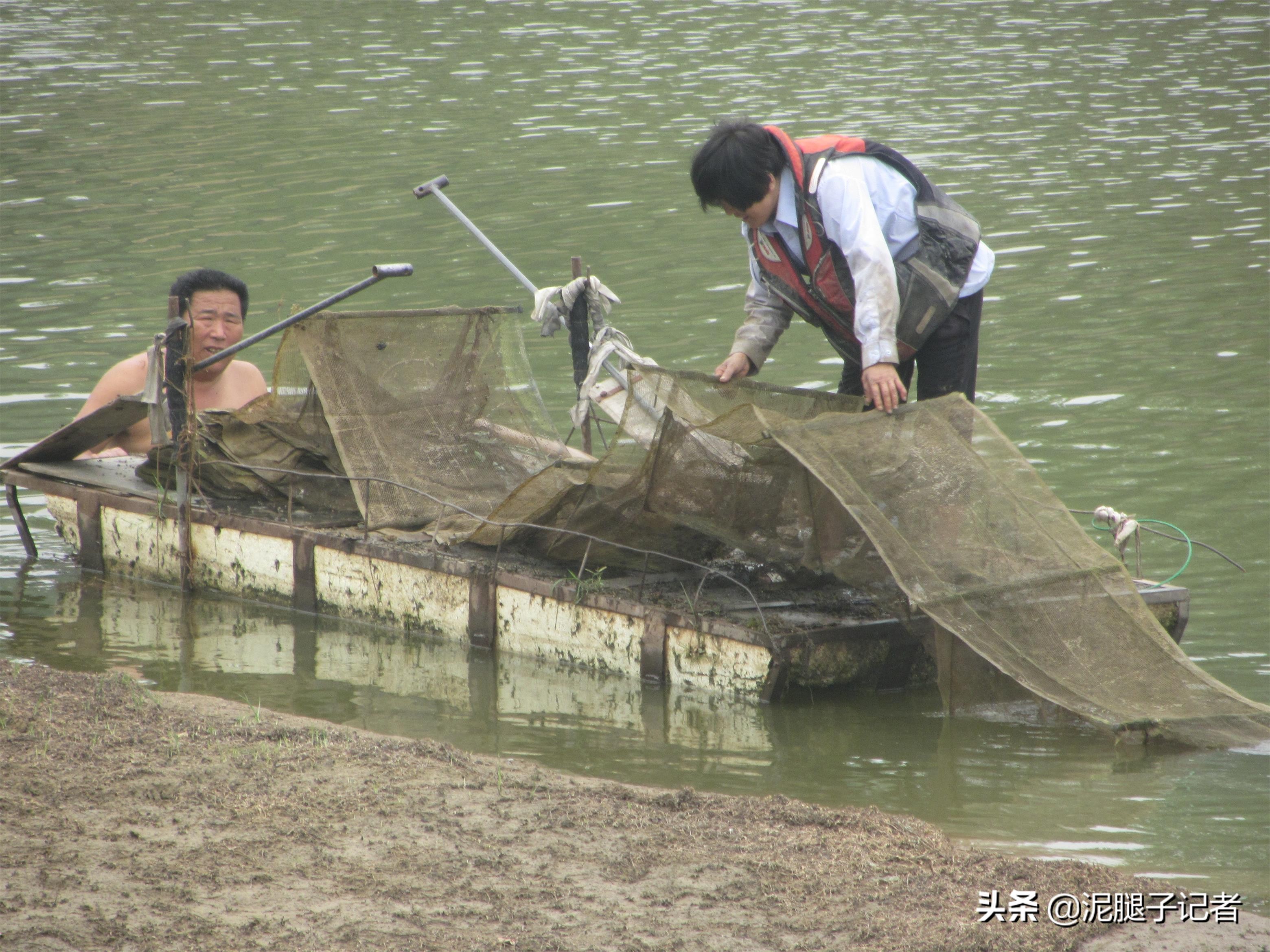农村小伙捕鱼的真实经历,农村小伙捕鱼的神奇经历
