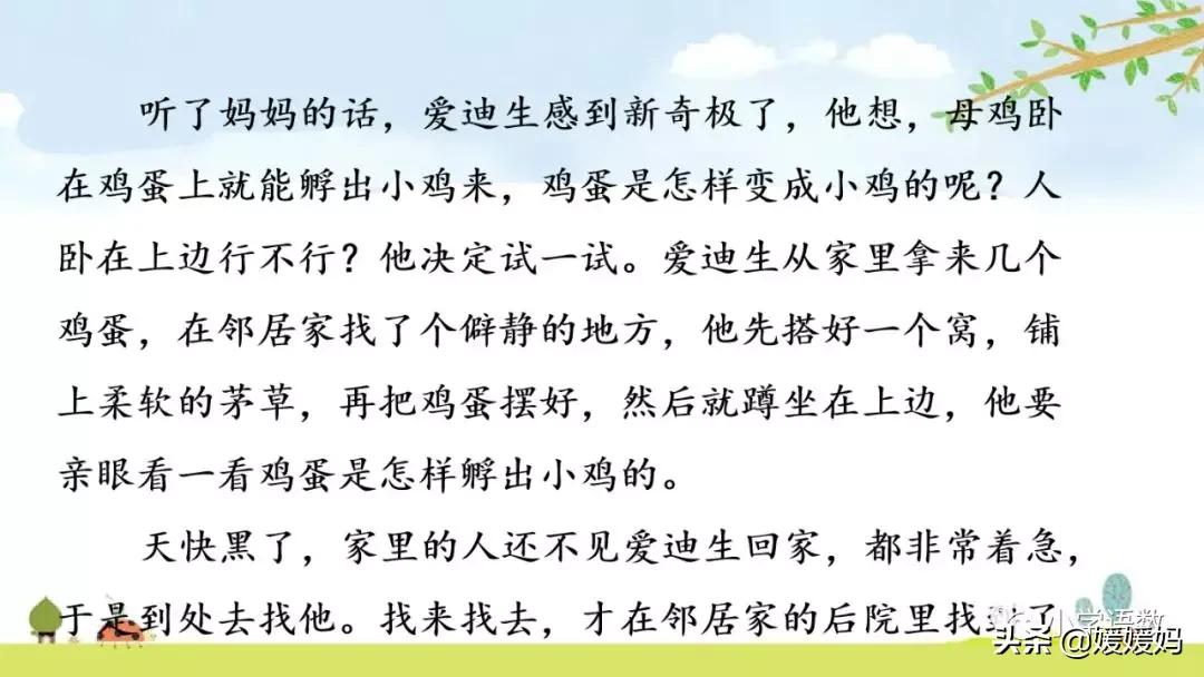 六年级下册语文表里的生物朗诵,六年级下册表里的生物小练笔400字