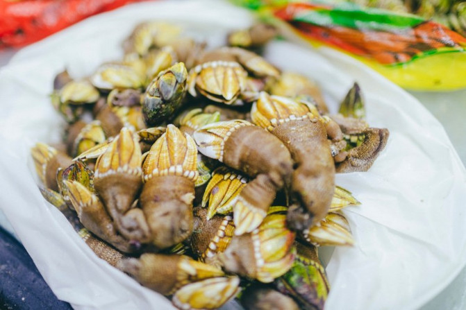 离岛微城慢生活民宿,嵊泗本岛真实体验