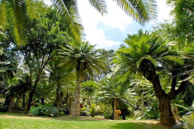 为什么国家要扶持南宁,国家为什么要大力发展广西南宁