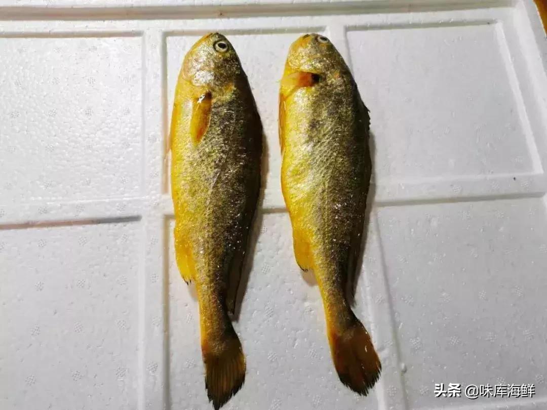 海鲜市场的猫腻怎么处理,青岛海鲜市场的猫腻