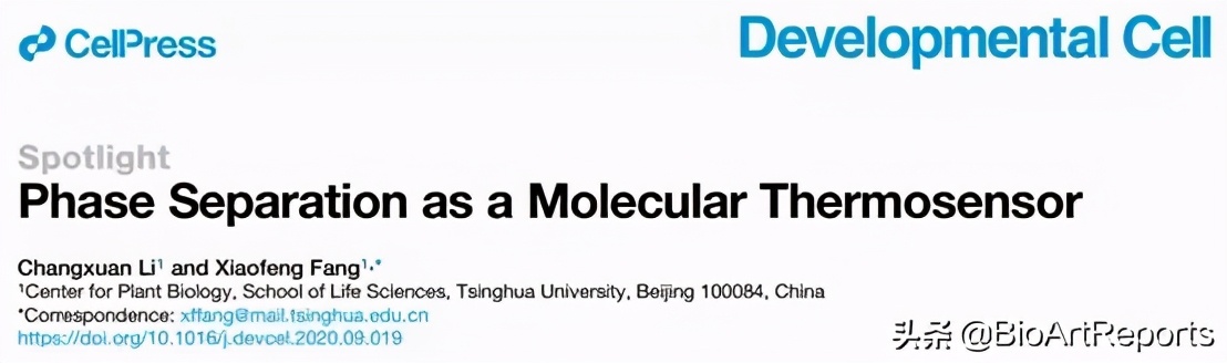 双十一特别献礼：五篇论文齐发！相分离研究再上高楼