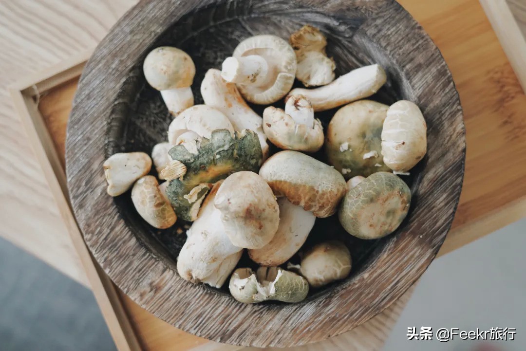挖到了云南人都点赞的“美食线路”!菌子当道,夏季去度假正好