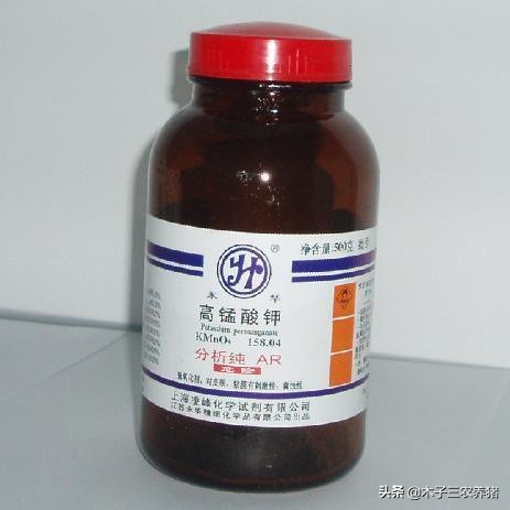 母猪产后胎衣不下，怎么办？别着急，看山区老养猪人怎样处理