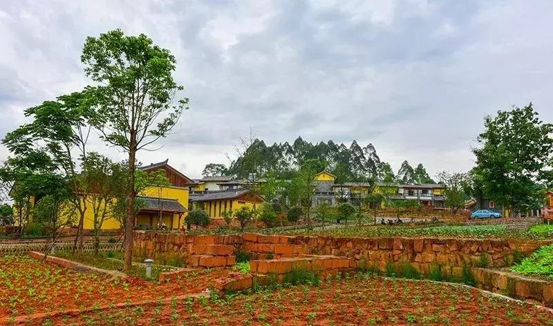 双流金马河绿道建设开始招标没有,成都双流空港绿道