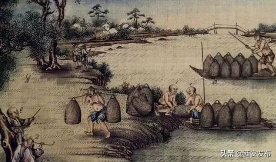 趣历史可信吗,趣历史秦国