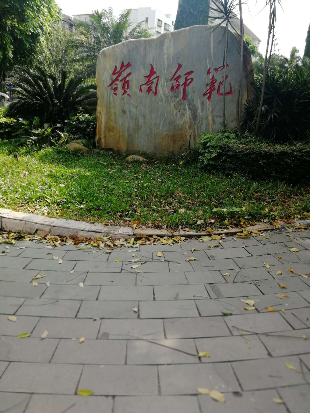 岭南师范学院分数线,岭南师范学院专业组