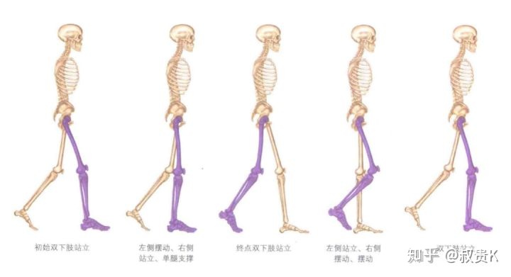 按摩可以瘦小腿肌肉吗,如何有效的瘦小腿肌肉